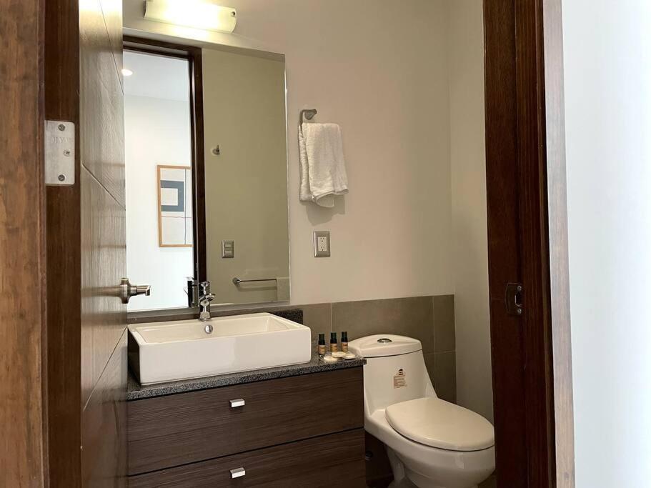 Lujoso De Disenadora / Limpieza Diaria Apartamento